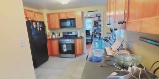 61 Palmer Street Gallery 4