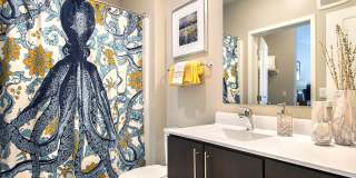 2700 University Gallery 14