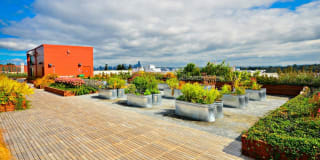 Forge West Seattle Gallery 20