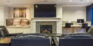 Sidney Sidney Gallery 19