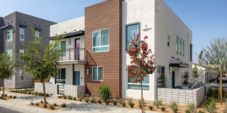 Homecoming at The Resort Apartments Gallery 12