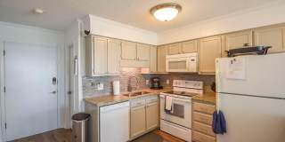 301 E Commerce Way Road unit: 329 Gallery 7