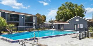 2569 North Alafaya Trail - 133Apt 133 Gallery 28