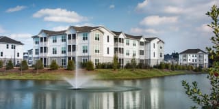 Capital Crest at Godley Station Gallery 50