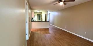 1851 Trailwood Heights Lane Gallery 8