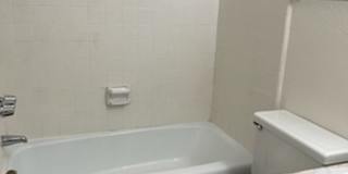 Mesa 1 bedroom rental Gallery 11