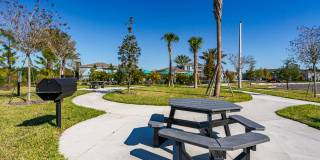 Dream Winter Haven Gallery 12