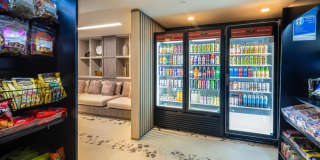 Catherine Santa Monica Gallery 30