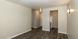 Forest Manor Gallery 3