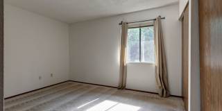 Clean Top Floor 1BR 1BA Condo with Wood Burning Fireplace Gallery 10