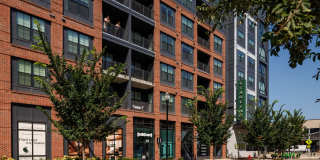 Starling Gallery 55