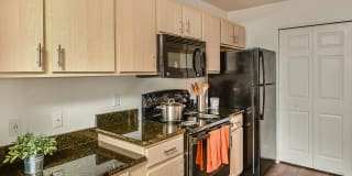 Elmhurst Village Gallery 20