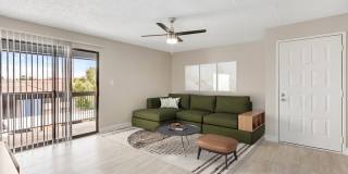 Rise Skyview Gallery 15