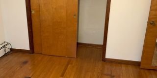 Nandale - Yellow Gallery 16