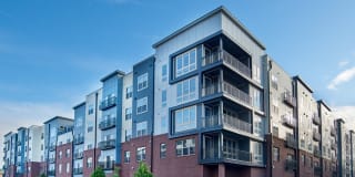 The Southerly Gallery 41