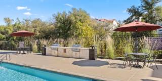 Water Oak Gallery 30