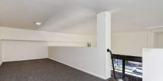 The Louie Gallery 7