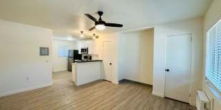 Studios and 1 Bedrooms in Central Location Tucson! Gallery 6