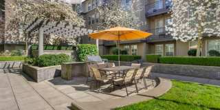 Avalon Bellevue Gallery 25