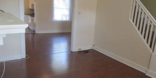 Nevada 1629 Gallery 6