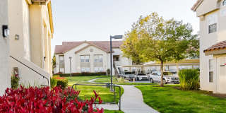 Legends of Rancho Belago Gallery 10