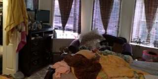 Nice 4 bed steps from BU Gallery 9