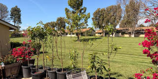 Amazing views in a great Leisure Village home - Camarillo Gallery 7