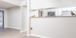 Harvest at Kokomo Gallery 8