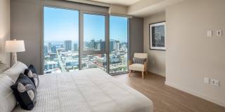 The Merian Gallery 80