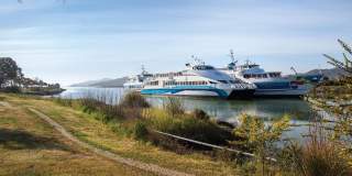 Preserve at Marin Apartment Homes Gallery 29