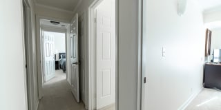 306F Forbes Street Gallery 6