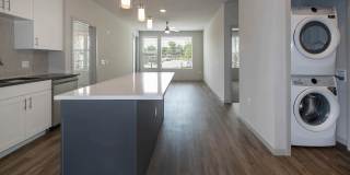 Savanna Nine Mile Gallery 67