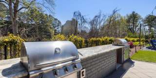 Arlow at Blue Ridge Gallery 44