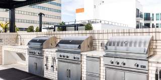 Aster & Links Gallery 12