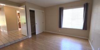 Scripps Ranch Beauty Gallery 20
