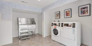 The Willow Gallery 32