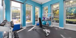 Cary Greens at Preston Gallery 37