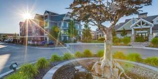 The Regency at River Valley Gallery 1