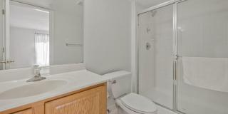 13804 CHESTNUT OAK Lane Gallery 19