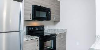 RIZE at Winter Springs Gallery 77