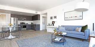 Hollis Oak Gallery 15