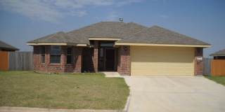 5626 Cinderella Gallery 1