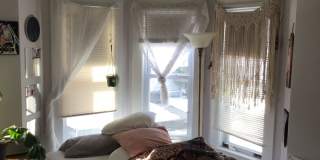 No Fee on Massive Apt in Packards Corner Near BU!  Pro Managed, XL Rooms, and Parking for rent! Gallery 10