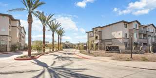 Prose Ascend Gallery 30