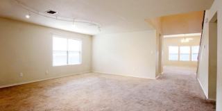 7326 Tamburo Gallery 12