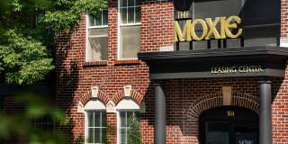The Moxie Gallery 11