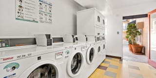 Parthenia Terrace Apartments Gallery 35