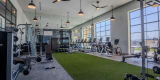 The Josephine The Josephine Gallery 17