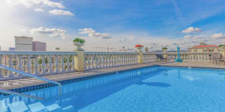 The Orsini Gallery 21