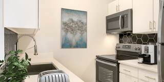 515 Clarkson Gallery 4